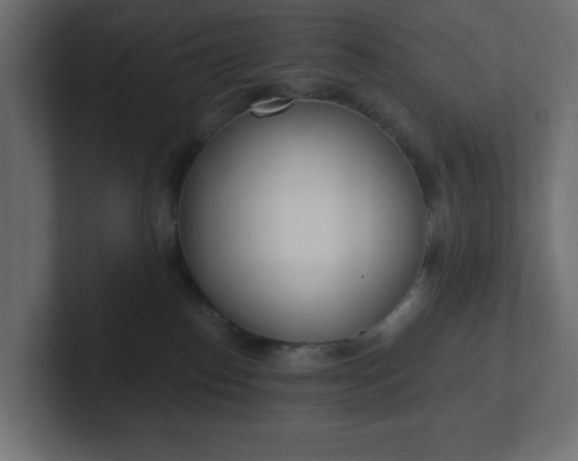 X0000103170186200808291518