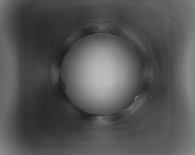 X0000103170188200808291518