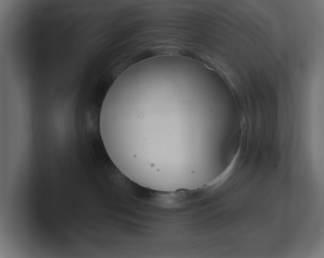 X0000103170190200808291518