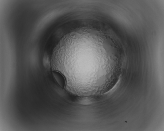 X0000103170191200808291518