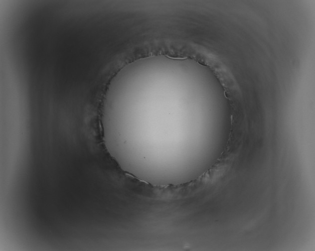 X0000103170192200808291518