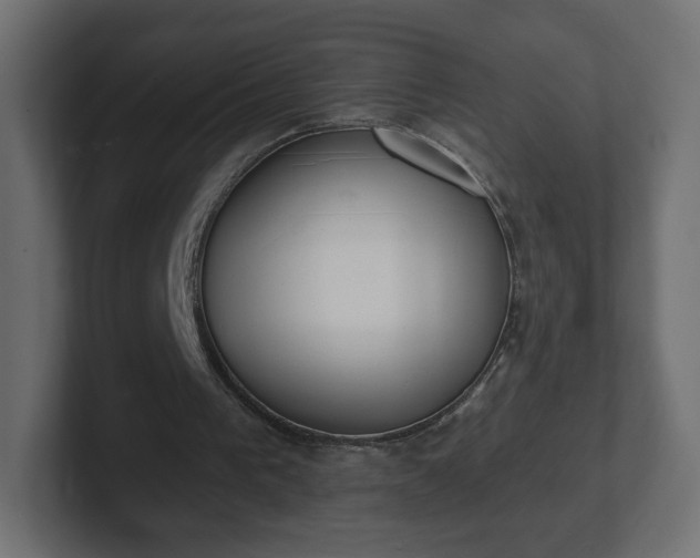 X0000103170193200808291517