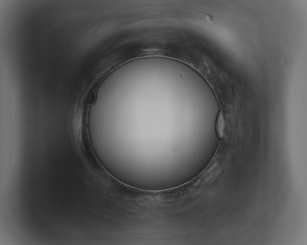 X0000103170194200808291517