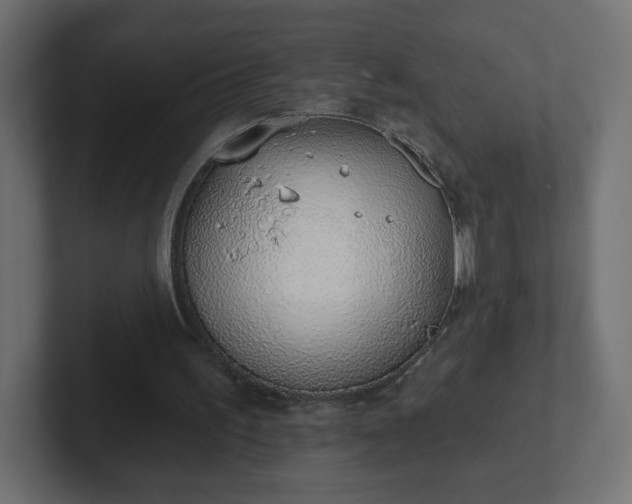 X0000103170195200808291517