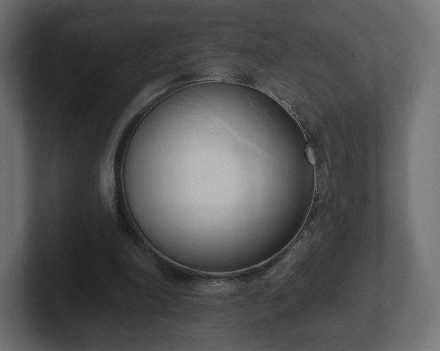 X0000103170198200808291517