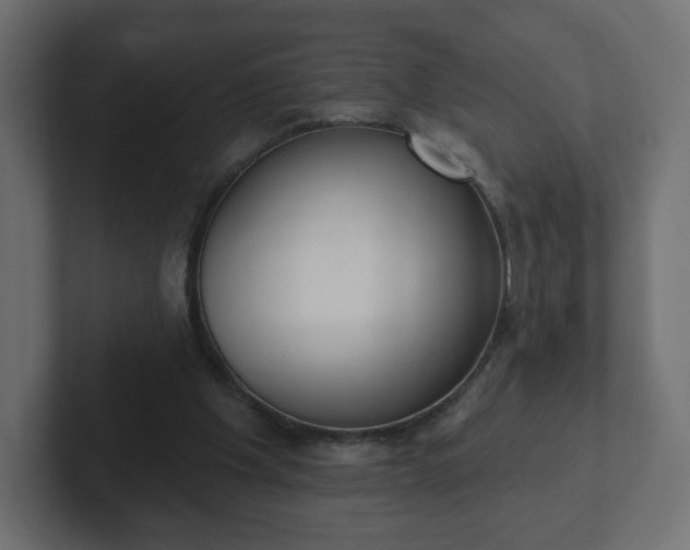 X0000103170201200808291517