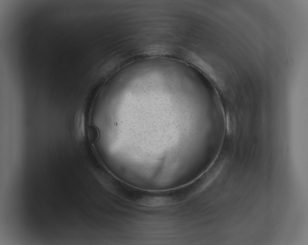 X0000103170205200808291517