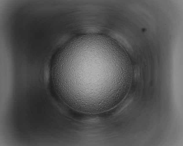 X0000103170206200808291517