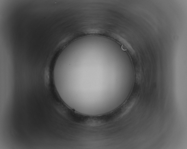 X0000103170207200808291517