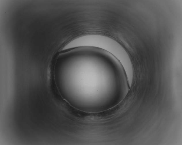 X0000103170211200808291517