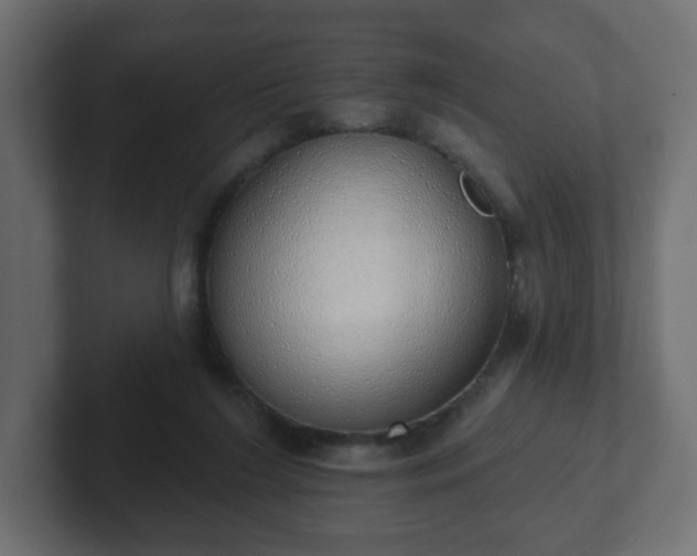 X0000103170212200808291517