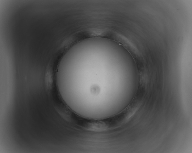 X0000103170215200808291517