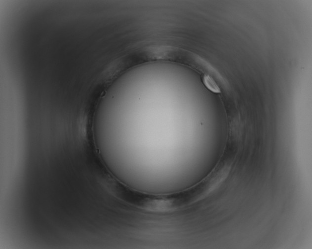 X0000103170217200808291517