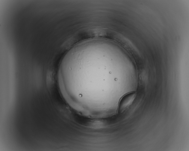 X0000103170218200808291517