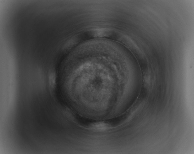 X0000103170219200808291517