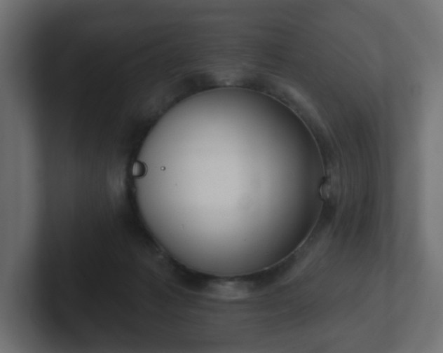 X0000103170221200808291517