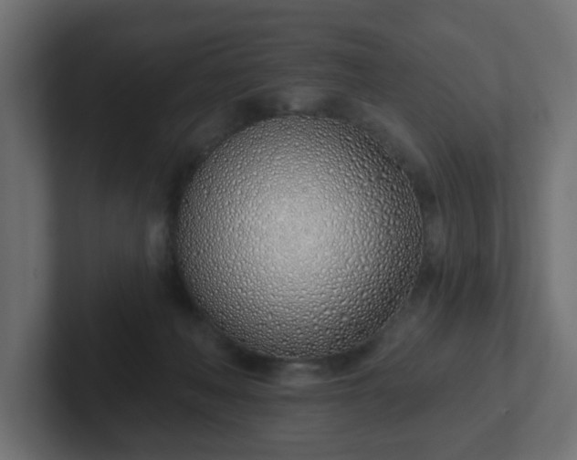 X0000103170222200808291517