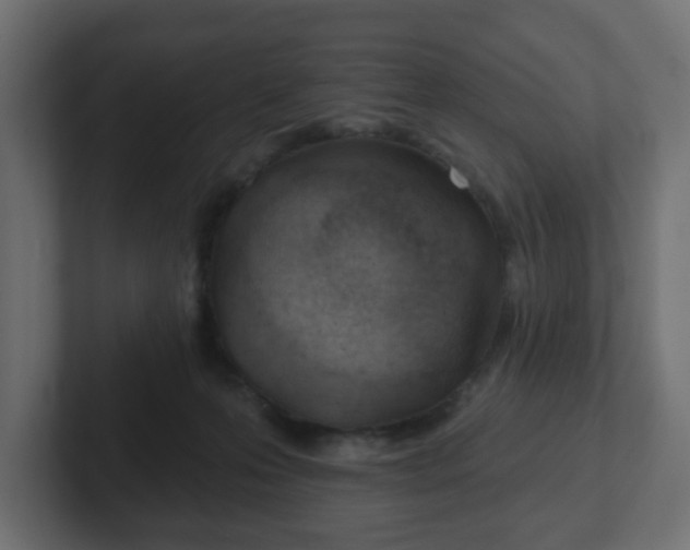 X0000103170223200808291517