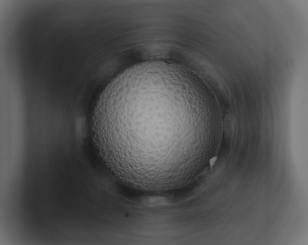 X0000103170224200808291517