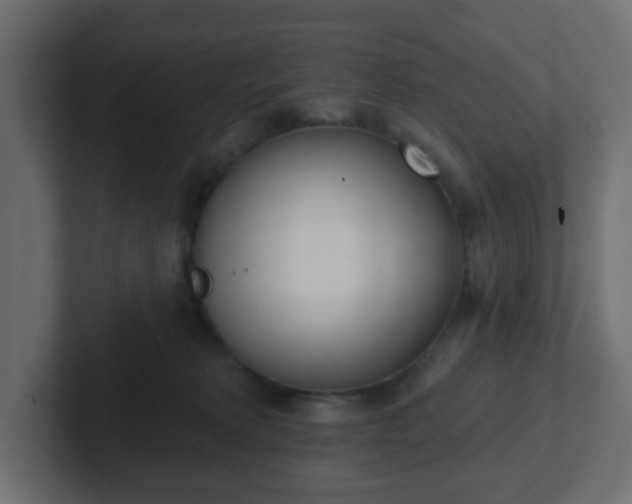 X0000103170229200808291517