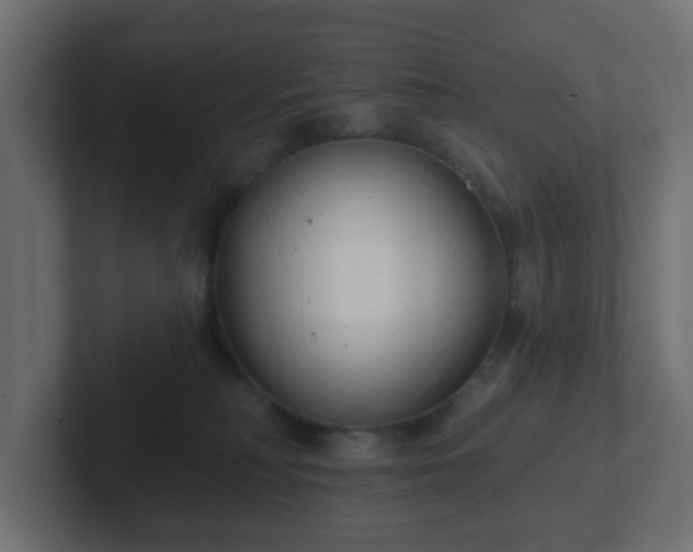 X0000103170230200808291517