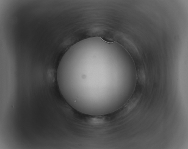 X0000103170232200808291517