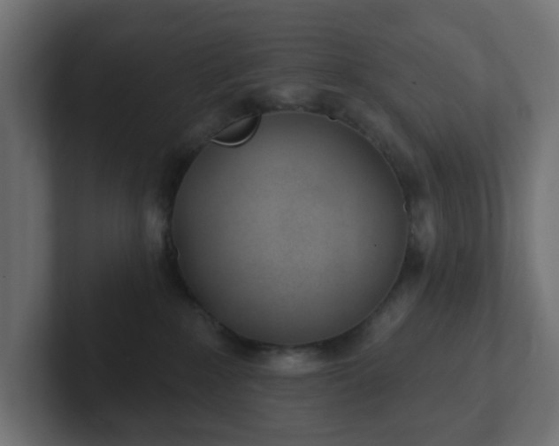 X0000103170235200808291516