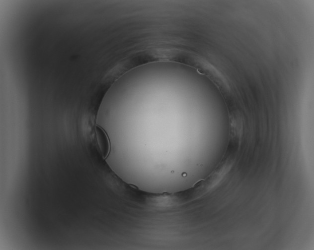 X0000103170237200808291516