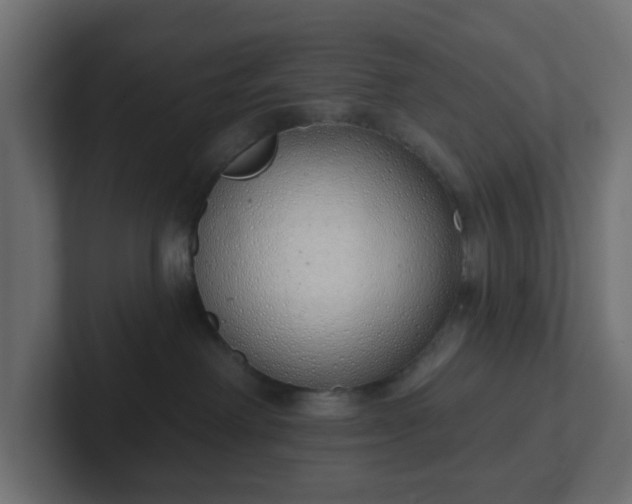 X0000103170238200808291516