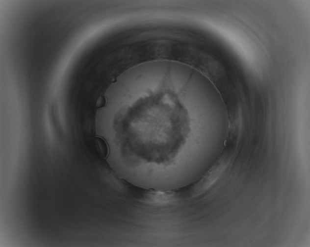 X0000103170239200808291516