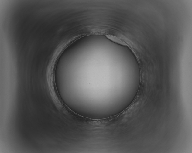 X0000103170241200808291516