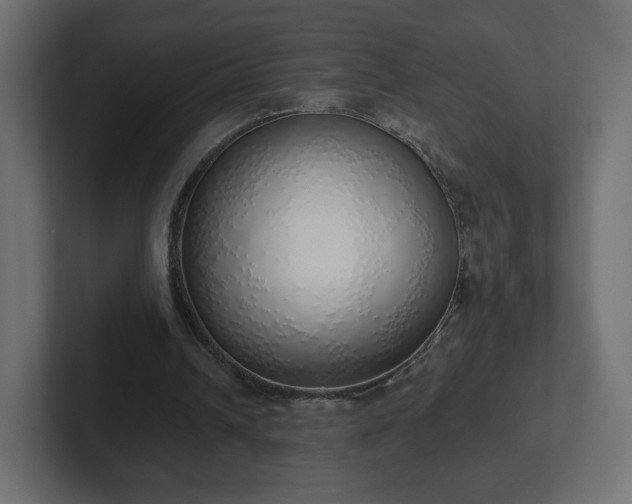 X0000103170242200808291516