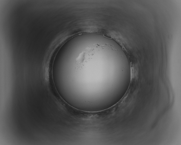 X0000103170243200808291516