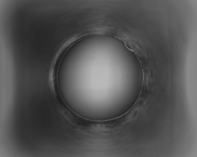 X0000103170244200808291516