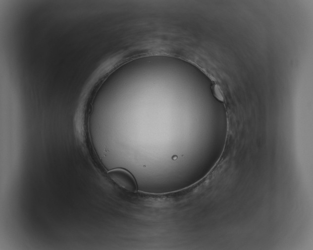 X0000103170245200808291516