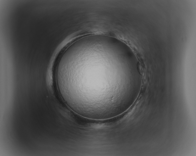 X0000103170246200808291516