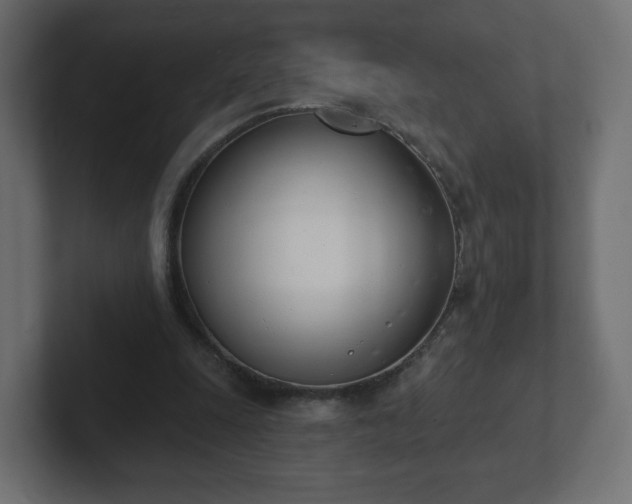 X0000103170247200808291516