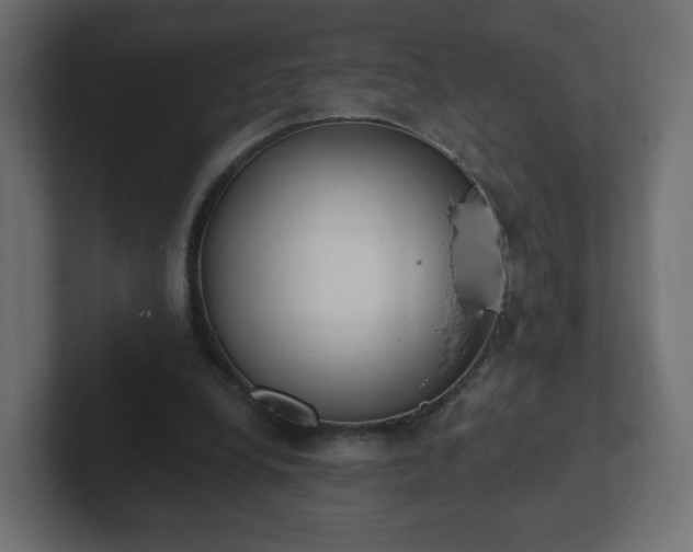 X0000103170248200808291516