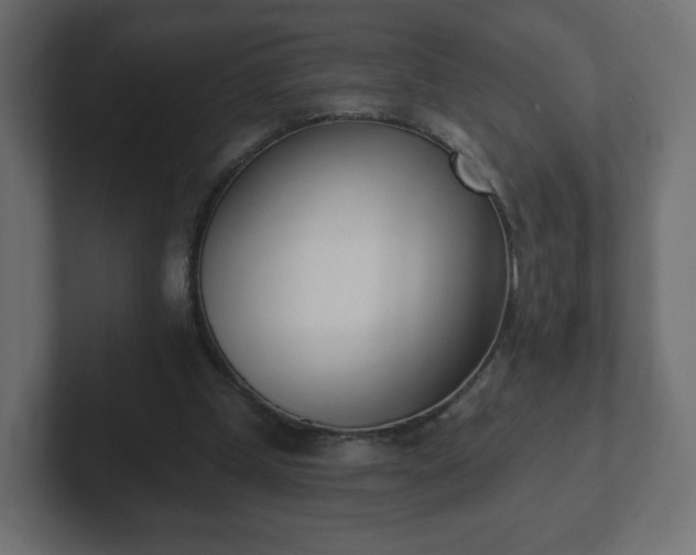 X0000103170249200808291516