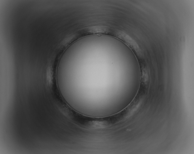 X0000103170255200808291516