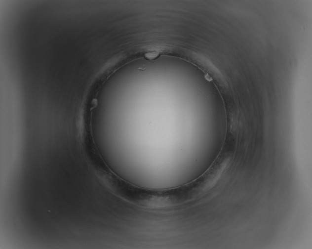 X0000103170256200808291516