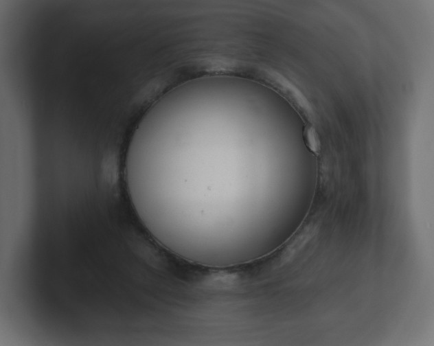 X0000103170257200808291516