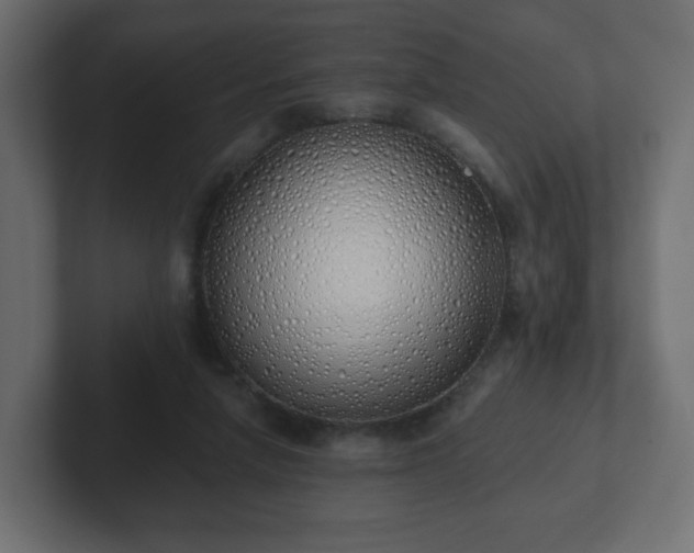 X0000103170258200808291516