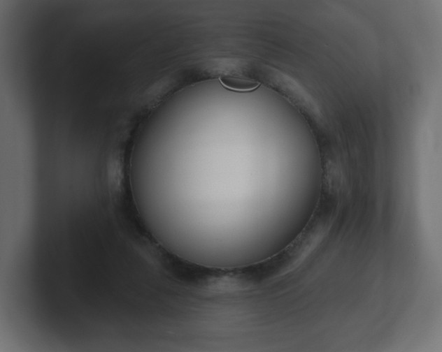 X0000103170259200808291516