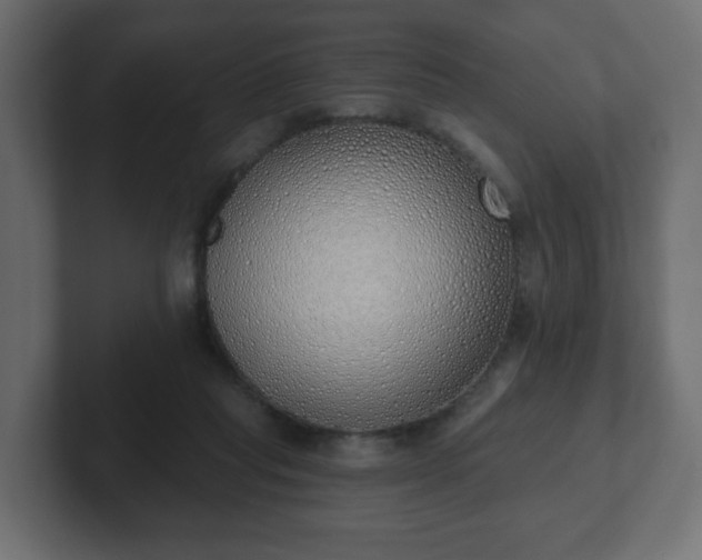 X0000103170261200808291516