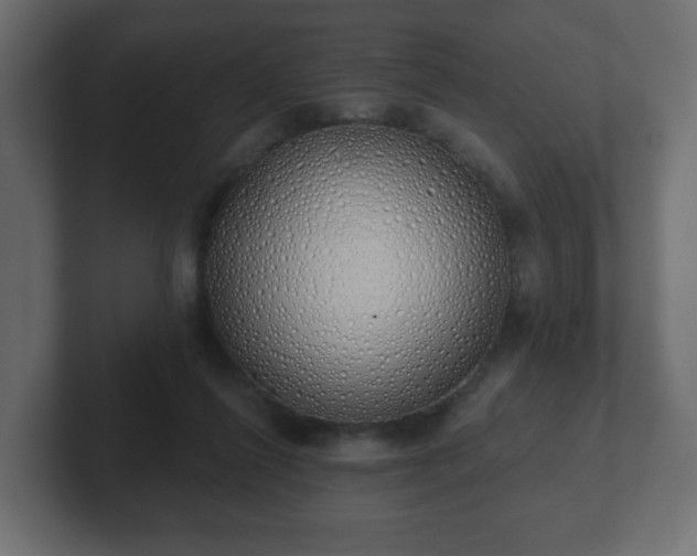 X0000103170262200808291516