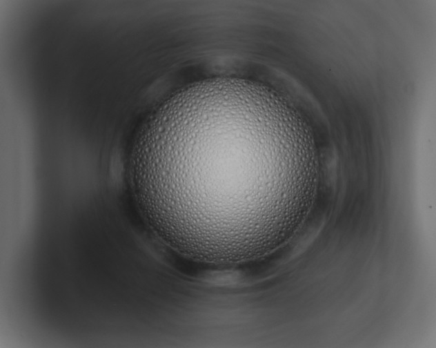 X0000103170266200808291516