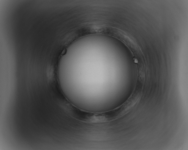 X0000103170270200808291516