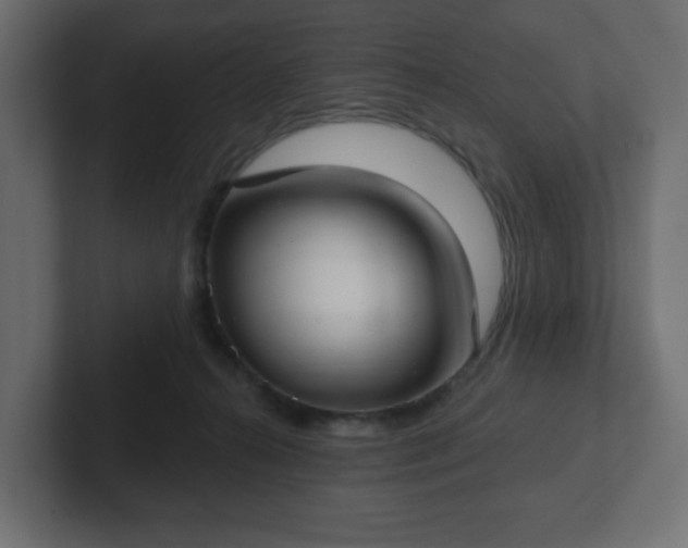 X0000103170272200808291516