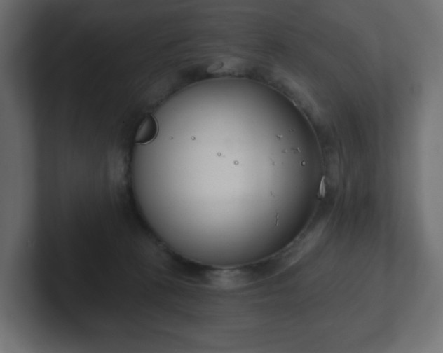 X0000103170273200808291516